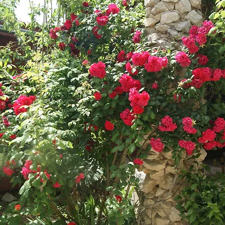 Hotel El Refugio De Alamut Valle de Abdalagís