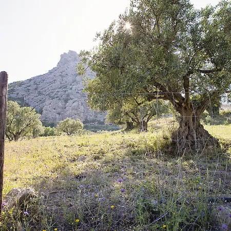 El Refugio De Alamut