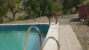 El Refugio De Alamut Valle de Abdalagís