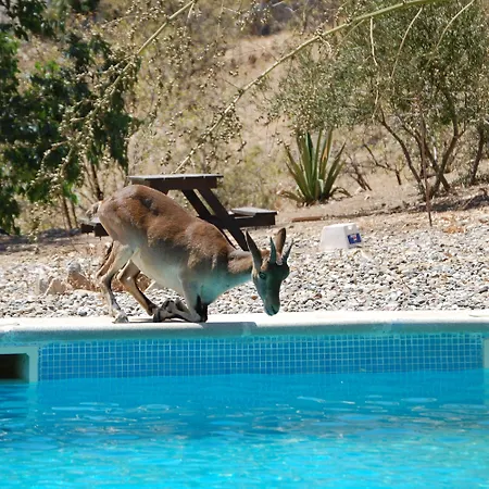 Hotel El Refugio De Alamut 2*